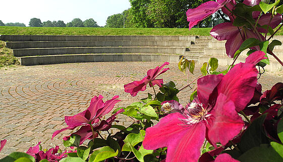 Blick auf unser Außengelände hinter dem Haus. Im Vordergrund ist eine Clematis zu sehen. Dahinter ein gepflasterter Platz und eine Treppe. Am Horizont sind Bäume zu erkennen.